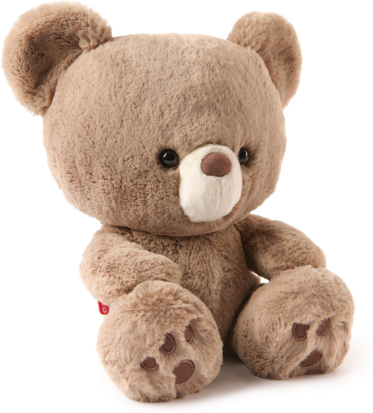 Peluche Ours en Peluche Doux de 30 cm pour Tous les Âges