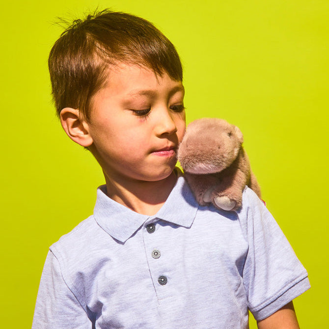 Hippopotame nain en peluche animal en peluche câlin faune